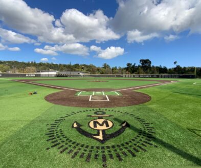 COM Field