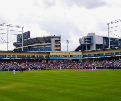 Medlar Field